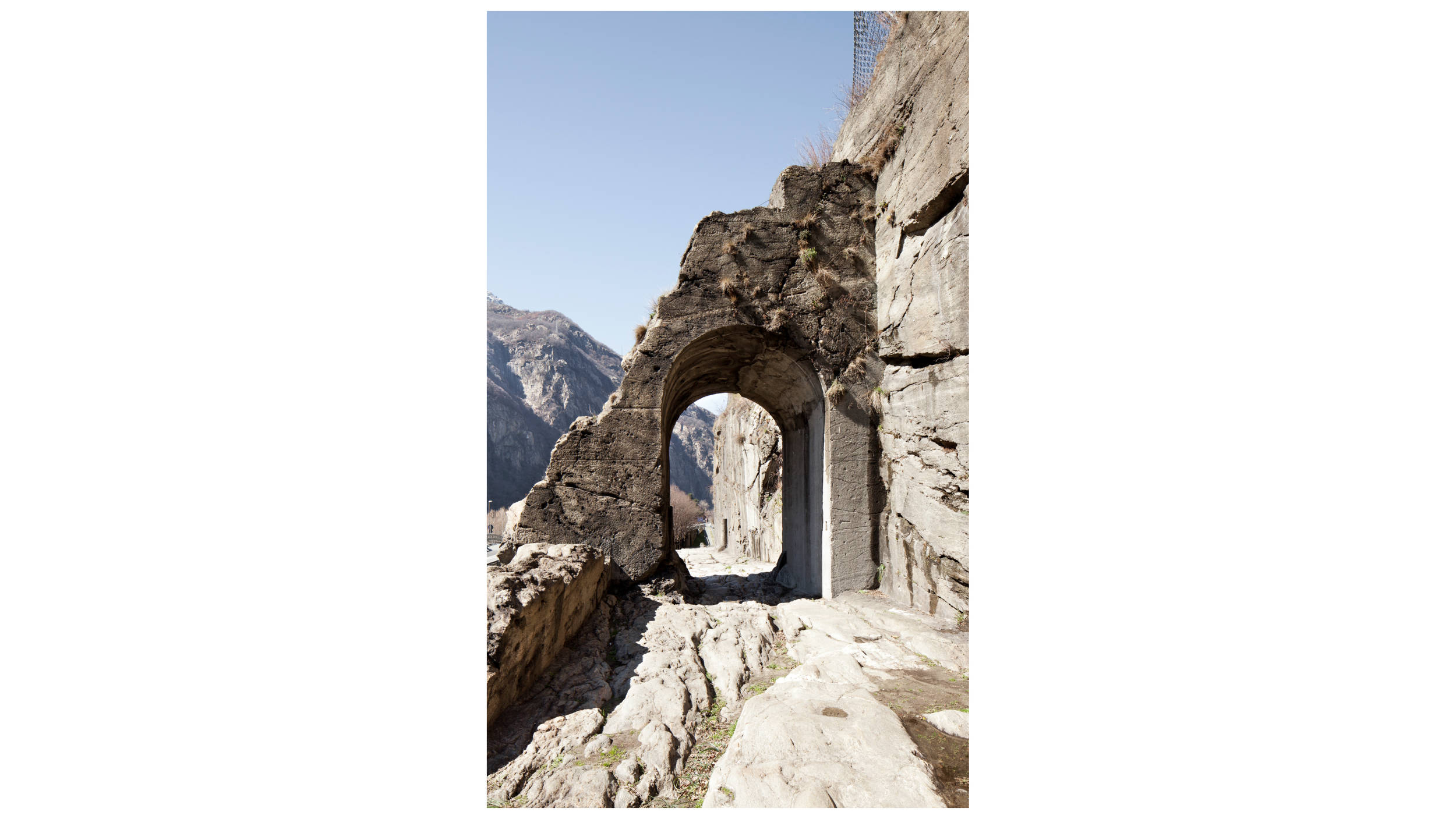 Biennale-12